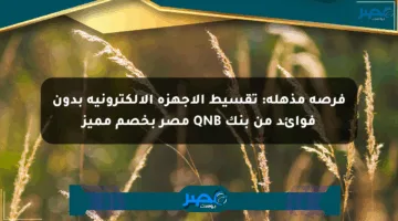 فرصة مذهلة: تقسيط الأجهزة الإلكترونية بدون فوائد من بنك QNB مصر بخصم مميز